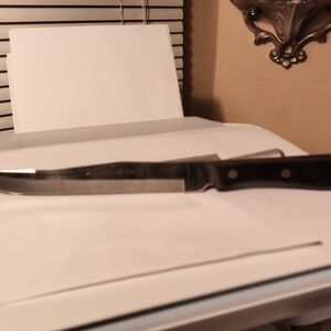 Stainless Steel Kitchen Knife with Black Handle